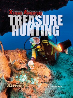cover image of Treasure Hunting